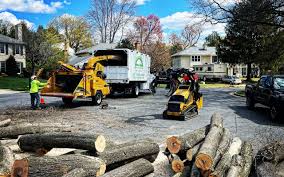 Best Lawn Drainage Solutions  in Deschutes River Woods, OR