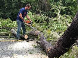 Best Lawn Renovation and Restoration  in Deschutes River Woods, OR