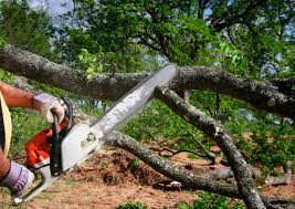 Best Organic Lawn Care Solutions  in Deschutes River Woods, OR